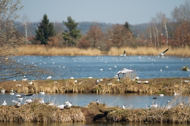 Čejkovice (okres České Budějovice) 2