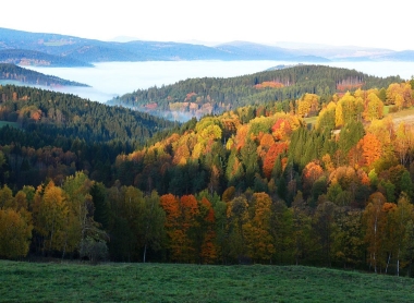 Chaty Šumava 1