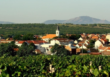 Veľké Pavlovice 1