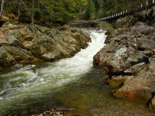 Podzvičinsko 3