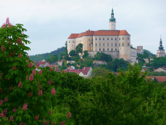 Penziony Mikulov (okres Břeclav) 1