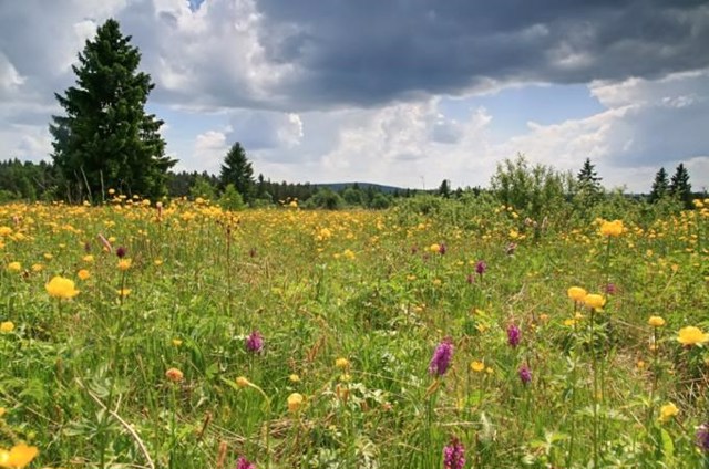 Karlovarský kraj 3