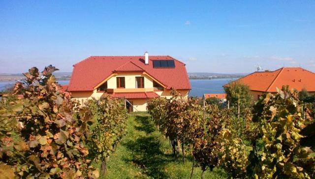 Apartmány Pavlov (okres Břeclav) 1