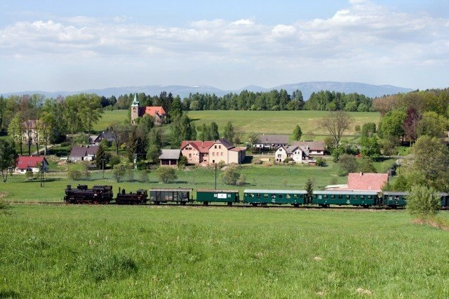 Borovnička 1
