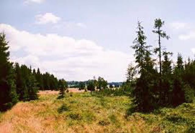 Kaplicko 1