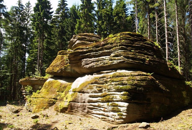 Tachovsko 1