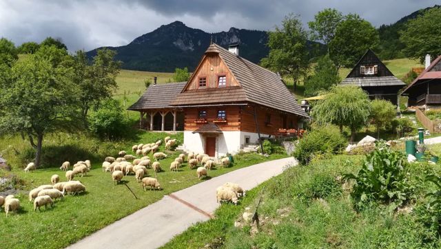 Drevenice Severné Slovensko 2