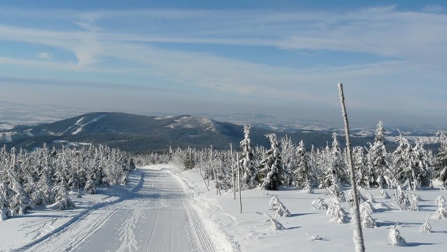 Chaty Strážné (okres Trutnov) 3