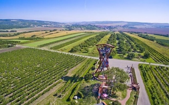 Dovolenka Morava 2