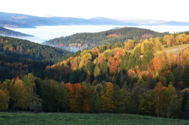 Kempy Šumava 1