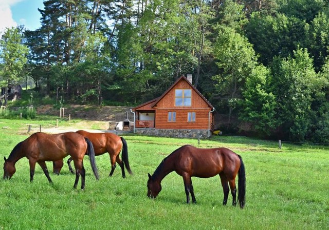 Ubytování na samotě Šumava 3
