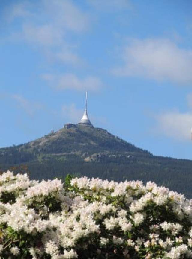Dlouhodobé ubytování Liberec 1