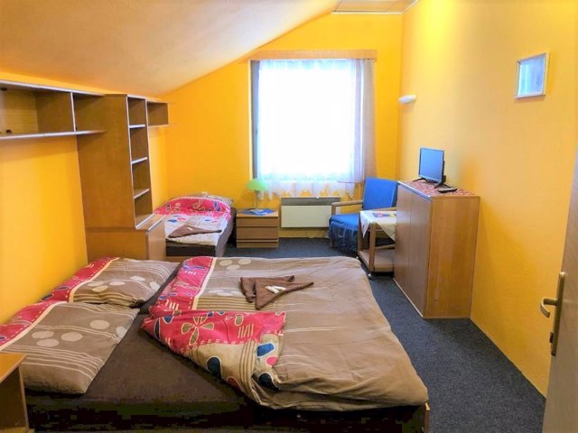 Ubytování s bazénem Dolní Morava 3