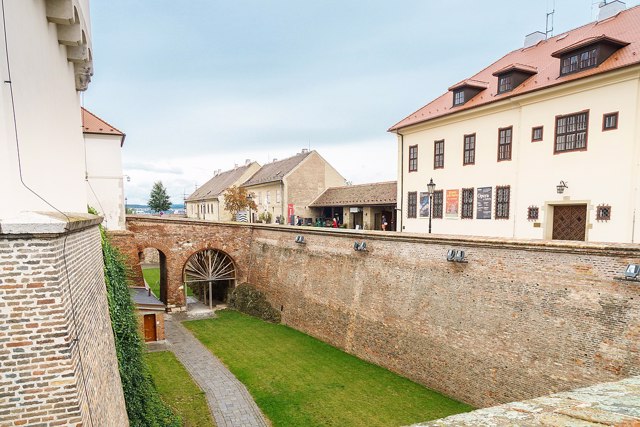 Ubytování se psem Brno 1