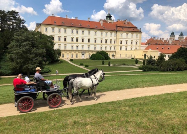 Ubytování s bazénem Valtice 1