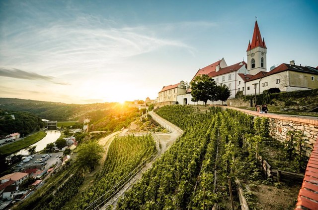 Ubytování se psem Znojmo 1