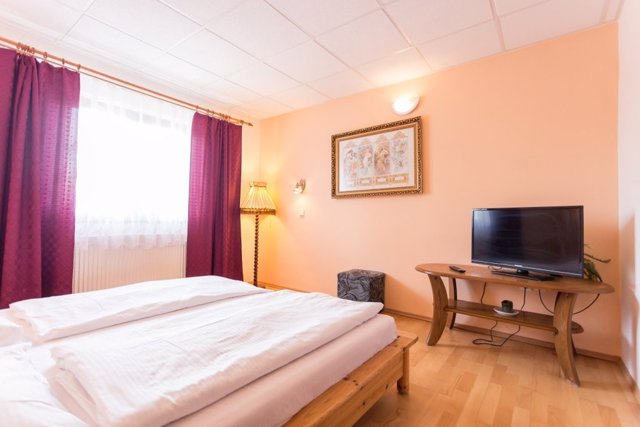 Ubytování s polopenzí Znojmo 3
