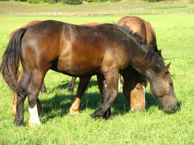 Pohronská Polhora 3