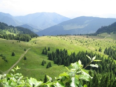 Orava 1