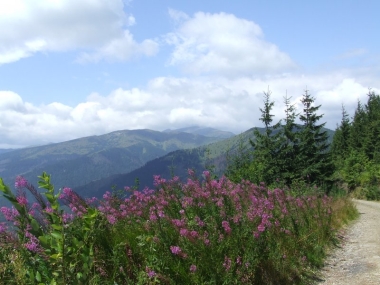 Tatry 2
