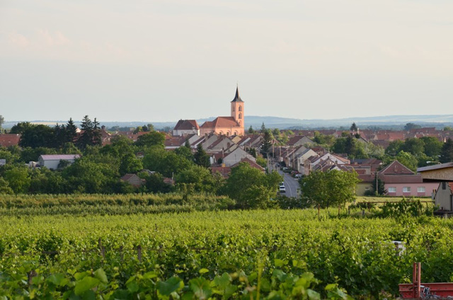 Hotely ve Velkých Bílovicích 1
