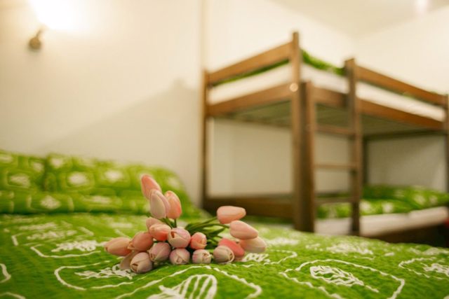 Ubytování s bazénem Doksy (okres Česká Lípa) 3