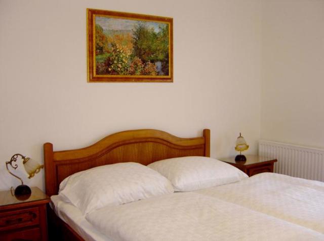 Ubytování s polopenzí Poděbrady 3