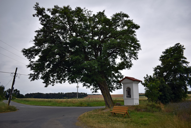 Pňovany 3