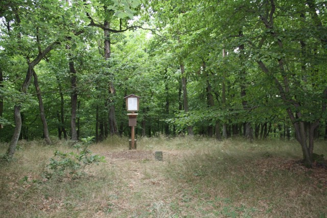 Březová-Oleško 1