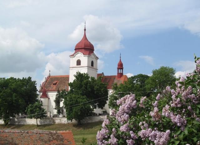 Trstěnice (okres Znojmo) 2