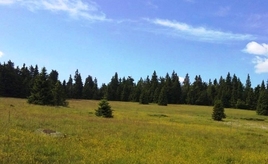 Poľana 2