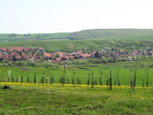 Boršice u Blatnice 1