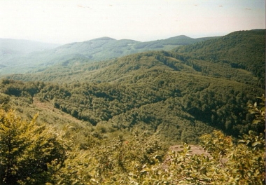 Zemplín 2