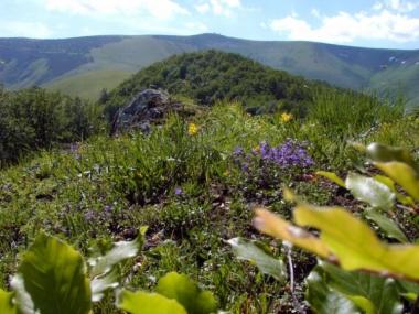Wielka Fatra 2