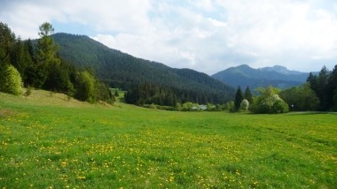 Demanova 2