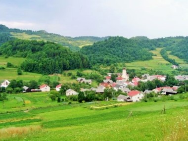 Leśnica 1