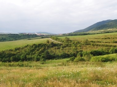 Dúbrava 2