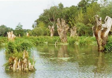 Podunajsko 3