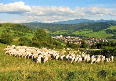 Skorušinské vrchy 1