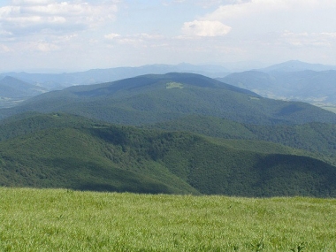 Zemplin 1